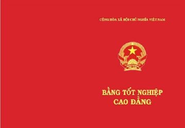 Bằng VX88 casino trực tuyến Vx88 link truy cập là gì? Giá trị sử dụng thế nào?
