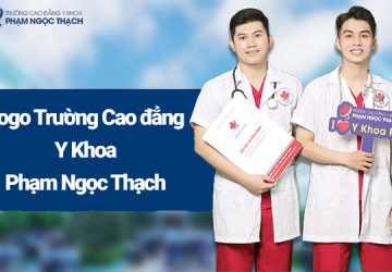 Ý nghĩa logo VX88 Esball - Top nhà cái uy tín Việt Nam 2025