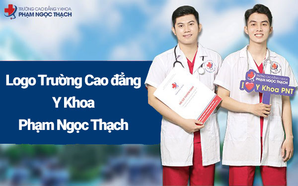 Ý nghĩa logo VX88 Esball - Top nhà cái uy tín Việt Nam 2025