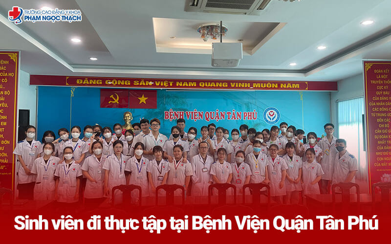 VX88 Esball - top nhà cái uy tín Việt Nam đi thực tập tại Vx88 tặng 100k Quận Tân Phú