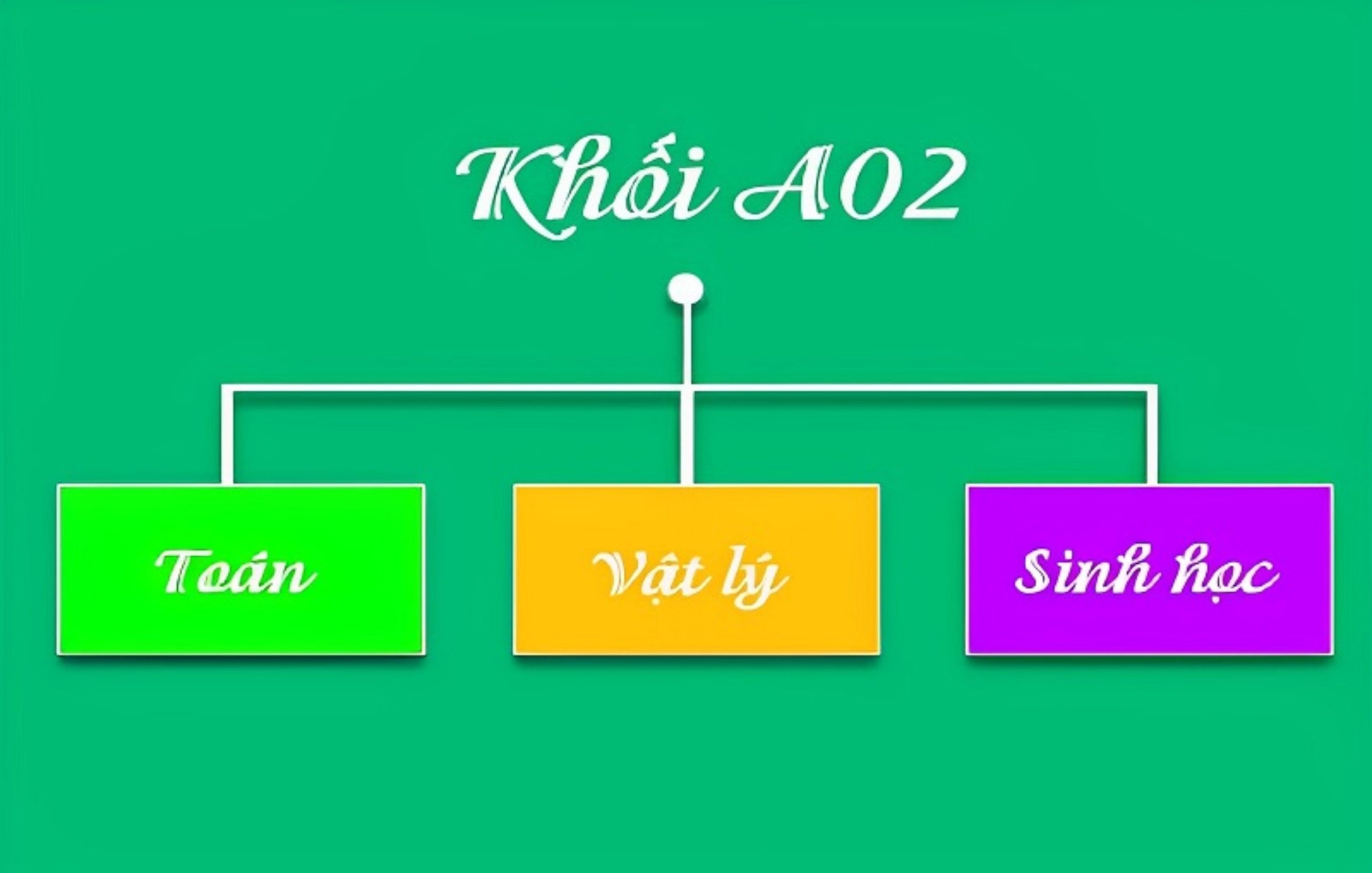 Tổ hợp môn khối A02 gồm ba môn thi là Toán, Vật lý và Sinh học