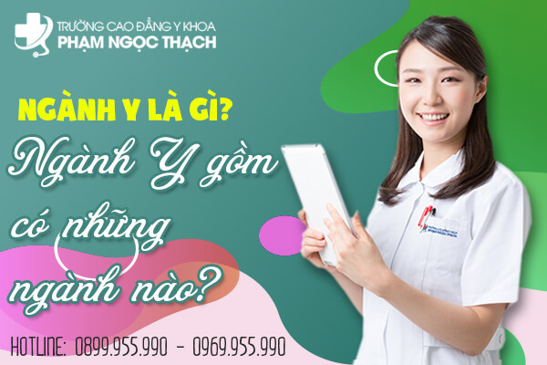 Ngành Y gồm những ngành nào?