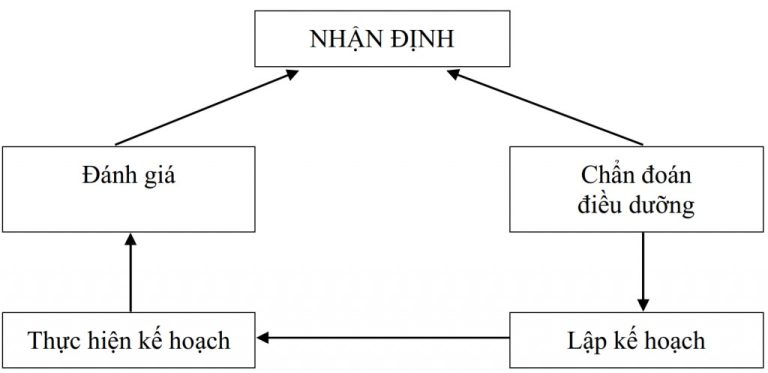 Chi tiết 5 đúng trong quy trình Vx88 link truy cập