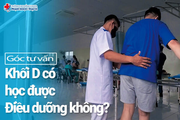 Khối D có học được Vx88 link truy cập không?