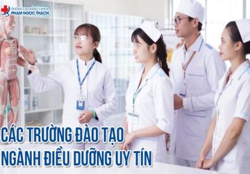 TOP 30+ Các Trường Đào tạo Ngành Vx88 link truy cập tốt 2026
