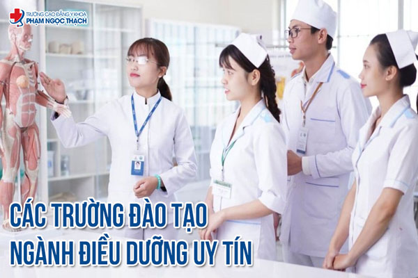 Danh sách các trường đào tạo ngành Vx88 link truy cập 2025 Danh sách các trường đào tạo ngành Vx88 link truy cập 2025
