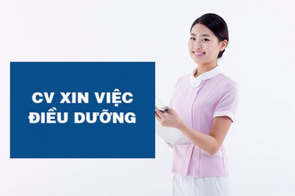 CV xin việc Vx88 link truy cập là gì?