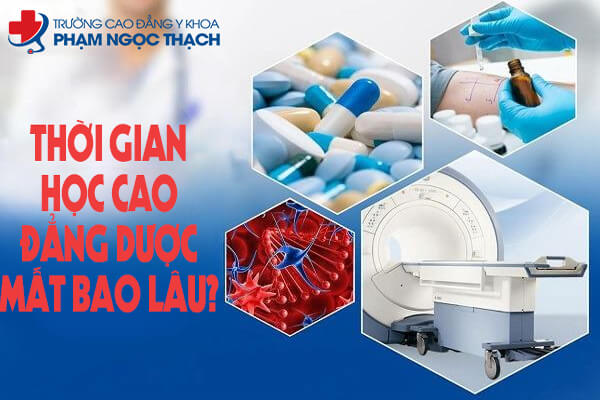 Thời gian học VX 88 nổ hũ đổi thưởng học bao nhiêu năm?