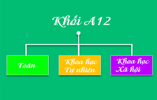 Khối A12 là một trong những khối thi đặc biệt, kết hợp giữa các môn học tự nhiên và xã hội
