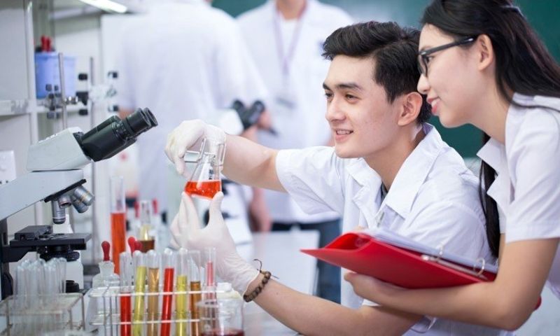 Khối A học Dược được không?