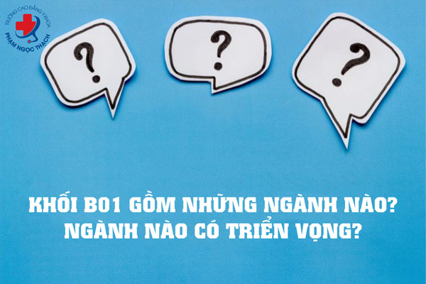 Khối B01 gồm những ngành nào?