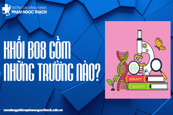 Khối B08 gồm những trường nào?