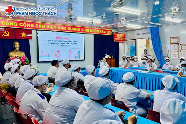 Ngành Dược tại VX88 Esball - Top nhà cái uy tín Việt Nam 2025 chú trọng kết hợp giữa đào tạo lý thuyết và thực hành